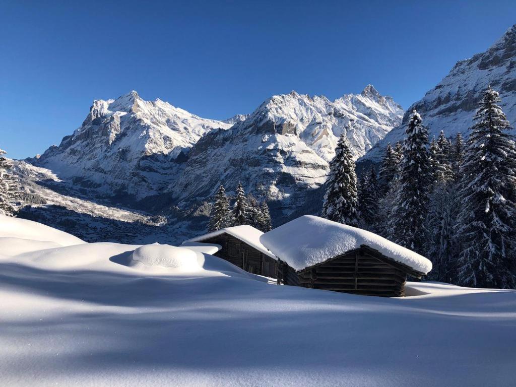 Chalet Caramelle Grindelwald Exterior photo